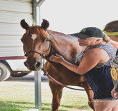 Global Directory of Who’s Who Recognizes Suellen C. Mize for Excellence in Horsemanship and Community Service